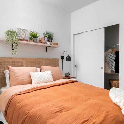 a bedroom with a bed and a shelf with plants